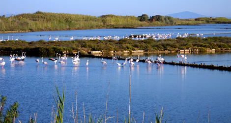 saline_tarquinia.jpg
