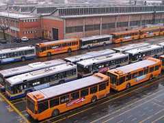 bus.jpg