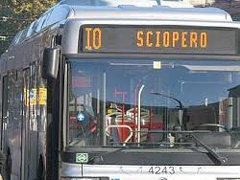 sciop.jpg