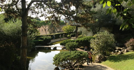 06.jpg