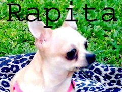 rapita240.jpg