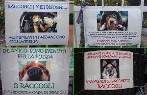 Cartelli ironici a Vigna Clara