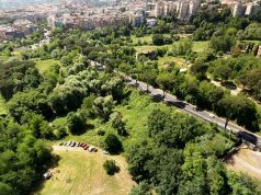 inviolatella borghese