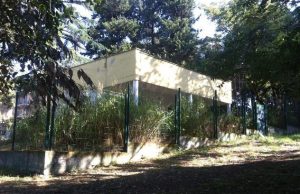 casetta-via-del-podismo