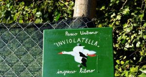 inviolatella-borghese