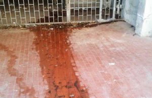 Labaro, esce acqua dall’ex Asl di via Offanengo perdita-di-acqua