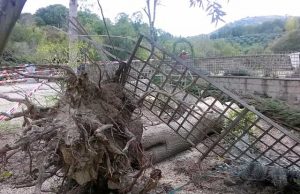 Parco di Veio, devastate dal tornado le Valli del Sorbo tornado-valli-sorbo