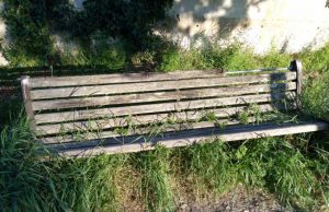 panchina-parco-tieri