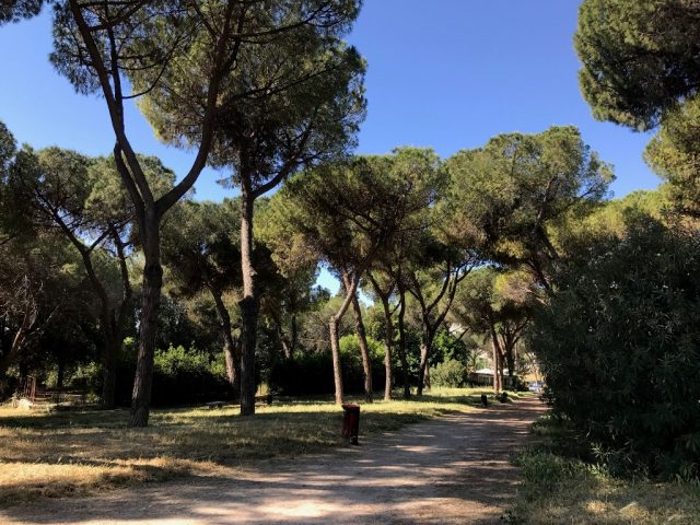 Parco Volpi giardini Parco Volpi