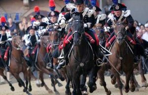 carosello-equestre-carabinieri