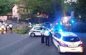 Crolla un albero sulla Cassia Antica, centauro in codice rosso cassiantica1a