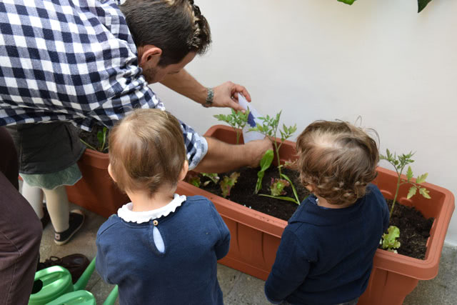 asilo nido Roma nord, laboratorio dell'orto