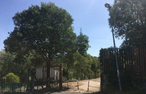 parco-via-barbarano-romano