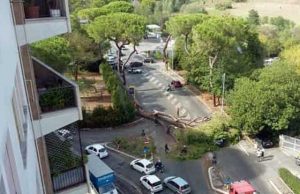 Chirizzi (PD): “Monitoraggio e manutenzione alberi, occorre cambiare passo” pino-caduto-cassia-pareto