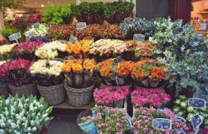 Cimitero Flaminio, rimossi banchi di fiorai abusivi
