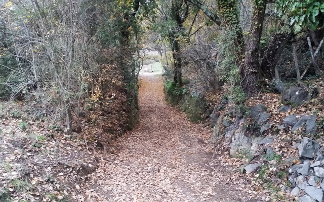 Monterano-sentiero