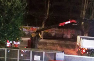 Motoseghe al lavoro di notte, insorge la Cassia motoseghe cassia