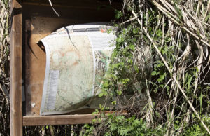 Parco Inviolatella Borghese Roma