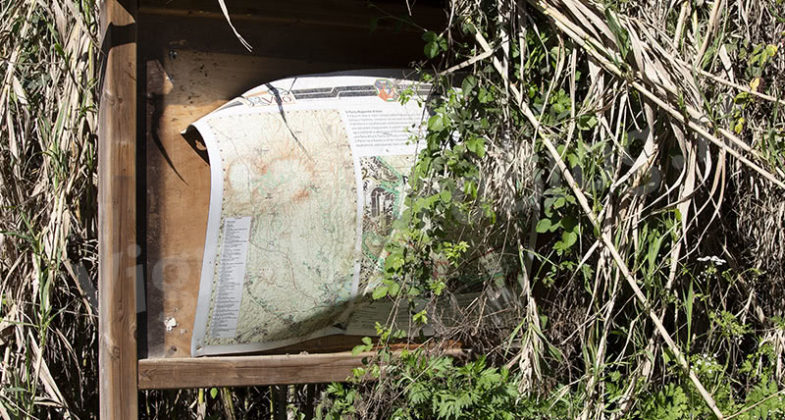 Parco Inviolatella Borghese Roma