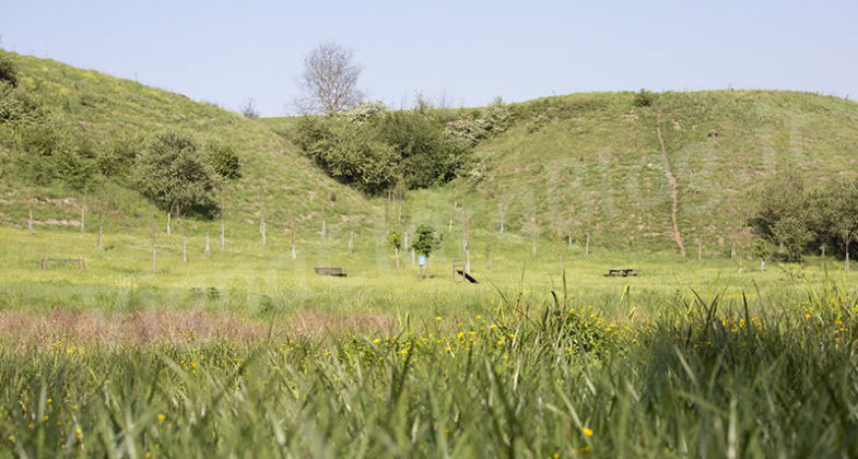 Parco Inviolatella Borghese Roma