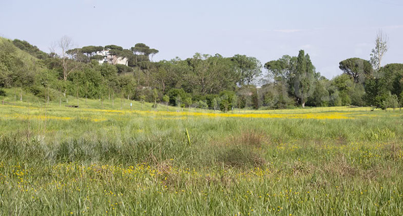Parco Inviolatella Borghese Roma