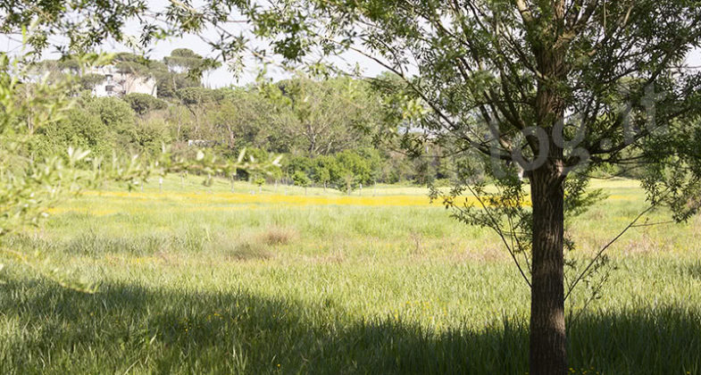 Parco Inviolatella Borghese Roma