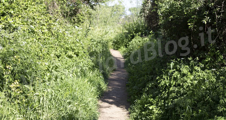 Parco Inviolatella Borghese Roma