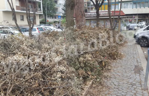 Piazza Jacini, basta un nulla per un falò Piazza Jacini Roma