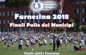 palio-municipi FIPAV