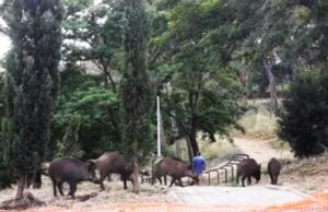 giardini tomba di nerone