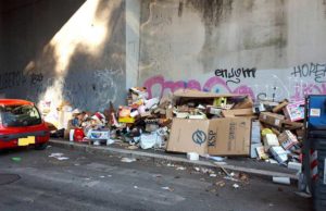 rifiuti-via-della-farnesina