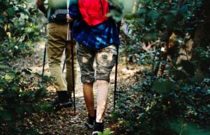 escursione-in-un-bosco