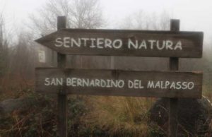trevignano-sentiero-natura