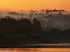 parcodiveio