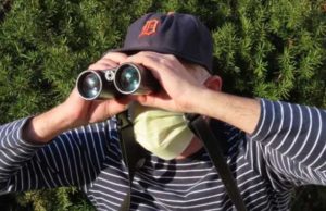 birdwatching-da-casa