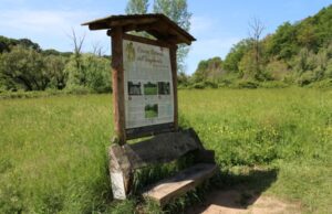 il ”trail” dell’Insugherata: 4,2 km alla portata di tutti Trail Insugherata