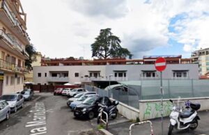 Farnesina, a rischio la quercia plurisecolare di via Beltrami via-beltrami