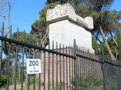 zoo-cassia