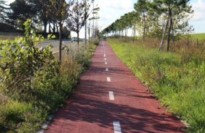 Via Quarto Peperino, una bella ciclabile e una brutta discarica