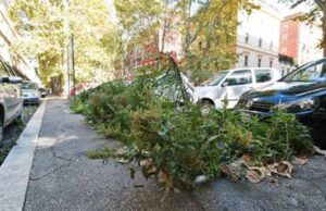 Erbe ed erbacce su strade e marciapiedi, a chi il cerino? erbacce-marciapiedi