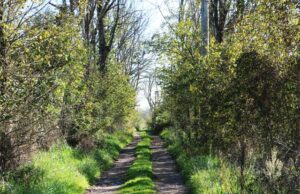 percorso-fosso-fontaniletto