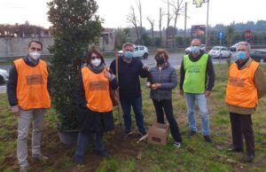 Anche La Giustiniana ha il suo albero di Natale albero-natale-giustiniana