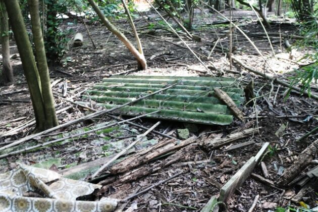 amianto nell'Insugherata