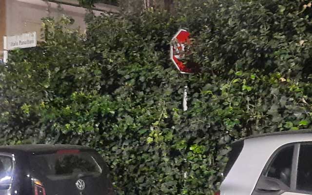 via-panattoni-piazza-azzarita