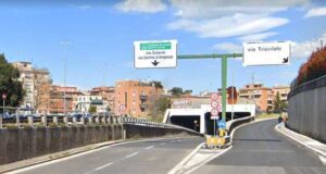 canna-sud-galleria-giovanni-xxiii