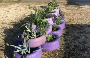 “L’altro giardino ” a Le Rughe, un percorso nell’EcoArte le-rughe-formello