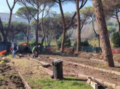 lavori-parco-volpi