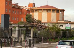 pino-crollato-via-silla