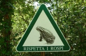 rispetta-rospi
