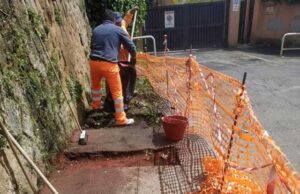 Via Panattoni, ripartono i lavori per i cassonetti anti-cinghiali panattoni